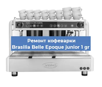Замена прокладок на кофемашине Brasilia Belle Epoque junior 1 gr в Ростове-на-Дону